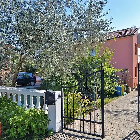 Boris 1079 * Galižana