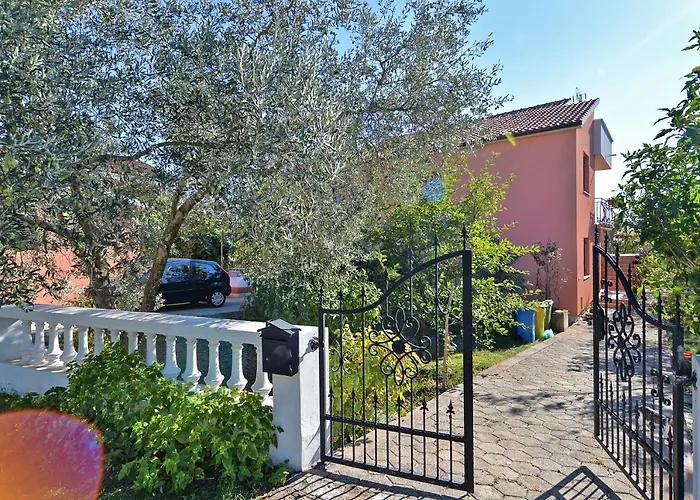 Boris 1079 * Galižana