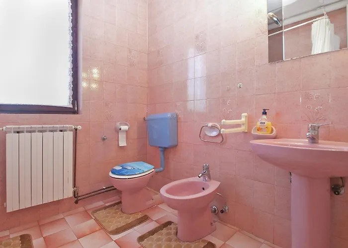 Boris 1079 * Galižana